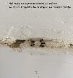 Obrzok (3)